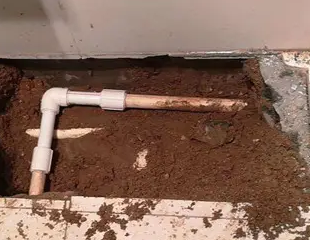 平山测漏水哪家好