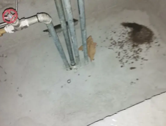 平山卫生间测漏水价格明细